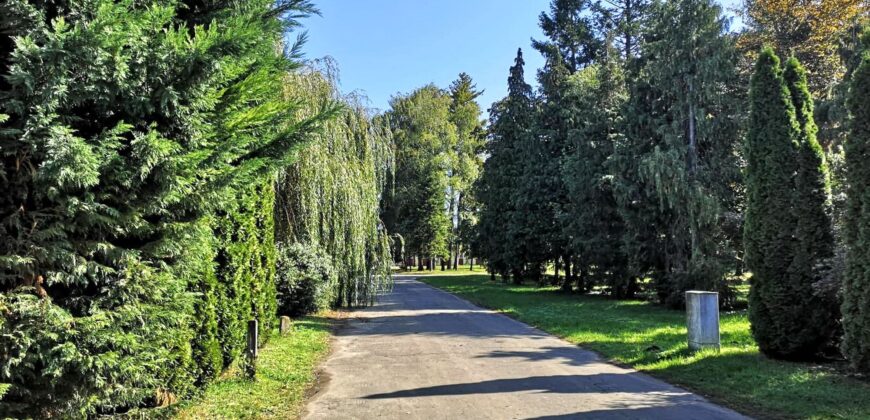 Mezőgazdasági major épületekkel, kutakkall, jól megközelíthető helyen 5156