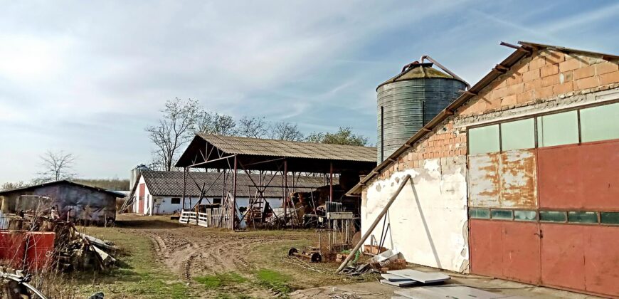 Összközműves tanya jól megközelíthető helyen agrár-vagy ipari tevékenység céljára 5120