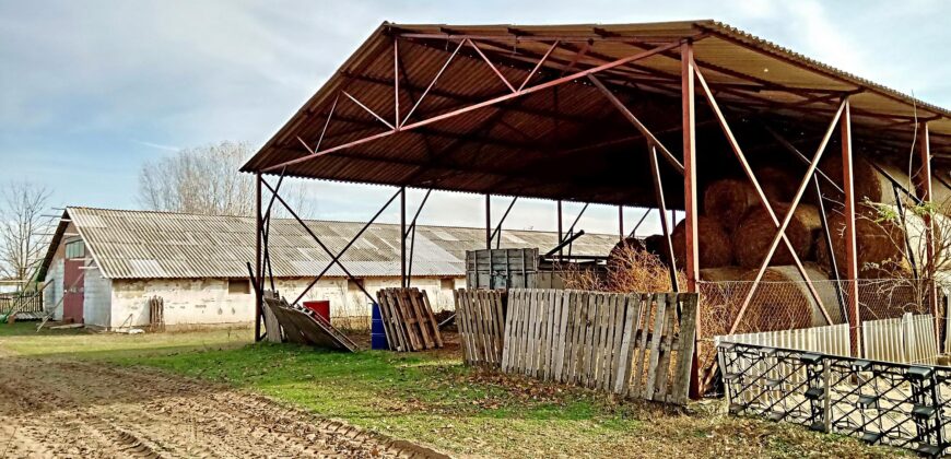 Összközműves tanya jól megközelíthető helyen agrár-vagy ipari tevékenység céljára 5120