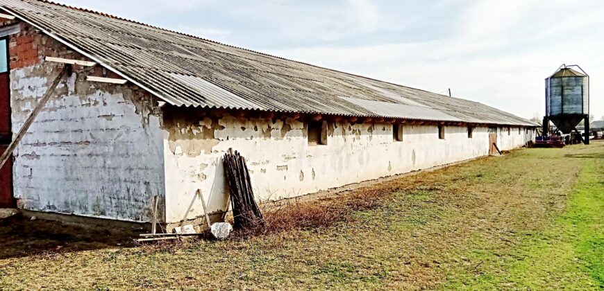 Összközműves tanya jól megközelíthető helyen agrár-vagy ipari tevékenység céljára 5120