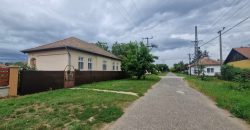 IDN200222 Berendezett családi ház Abádszalókon