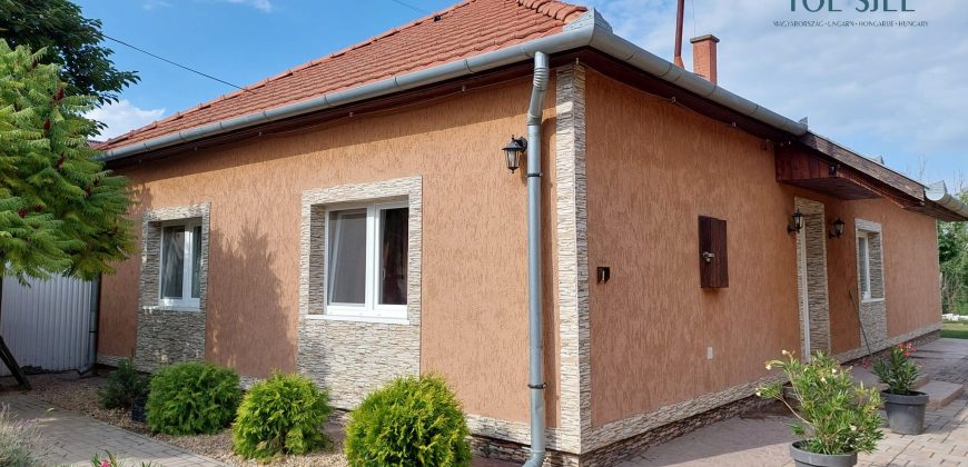 IDN240919 Tiszaföldvári családi ház