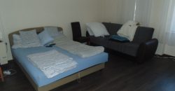 IDN200222 Berendezett családi ház Abádszalókon