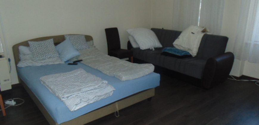 IDN200222 Berendezett családi ház Abádszalókon