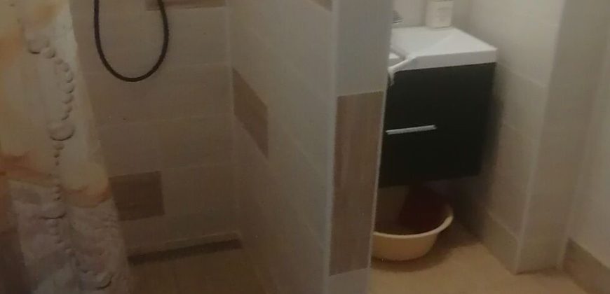 IDN240908 Eladó vendégház Sarudon