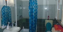 IDN200222 Berendezett családi ház Abádszalókon