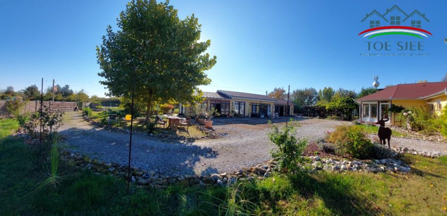 IDN241104 Családi ház Tiszaderzs