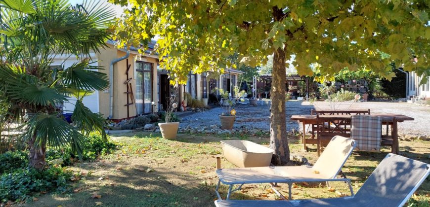 IDN241104 Családi ház Tiszaderzs