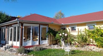 IDN241104 Családi ház Tiszaderzs