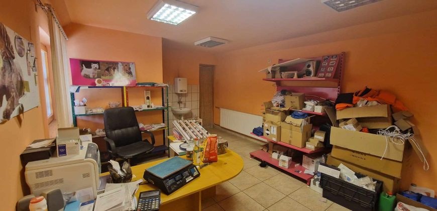 IDN240626 Abádszalók központjában eladó családi ház