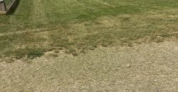 IDN240814 Eladó telek Abádszalókon