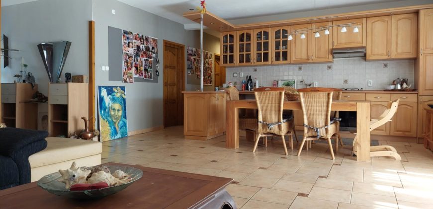 IDN241104 Családi ház Tiszaderzs