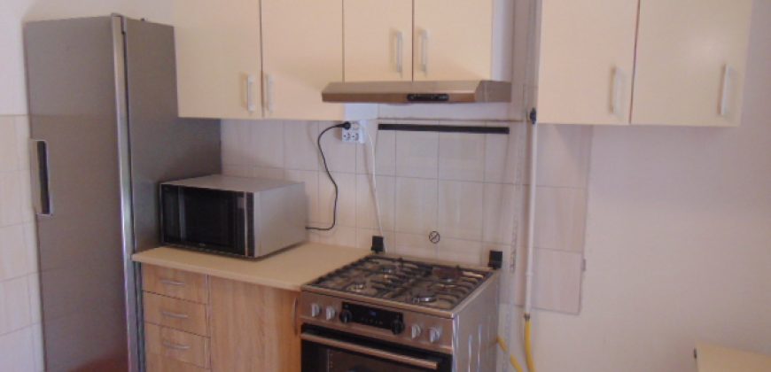 IDN200222 Berendezett családi ház Abádszalókon