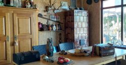 IDN241104 Családi ház Tiszaderzs