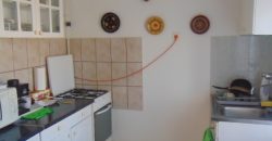 IDN200222 Berendezett családi ház Abádszalókon