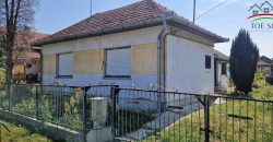 IDN250618B Abádszalóki családi ház