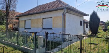 IDN250618B Abádszalóki családi ház