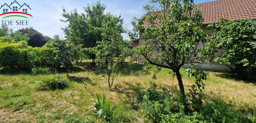 IDN250618B Abádszalóki családi ház