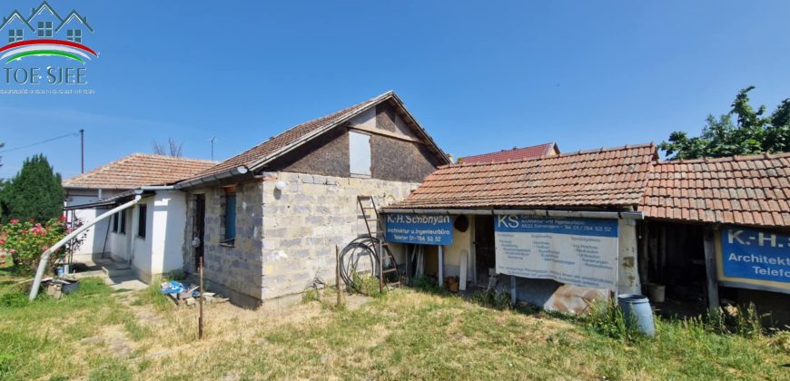 IDN250618B Abádszalóki családi ház
