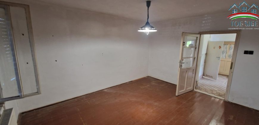 IDN250618B Abádszalóki családi ház