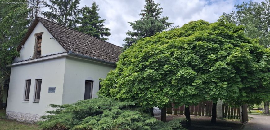 IDN250624 KINCSEM LOVASPARK