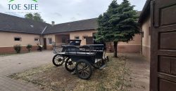 IDN250624 KINCSEM LOVASPARK