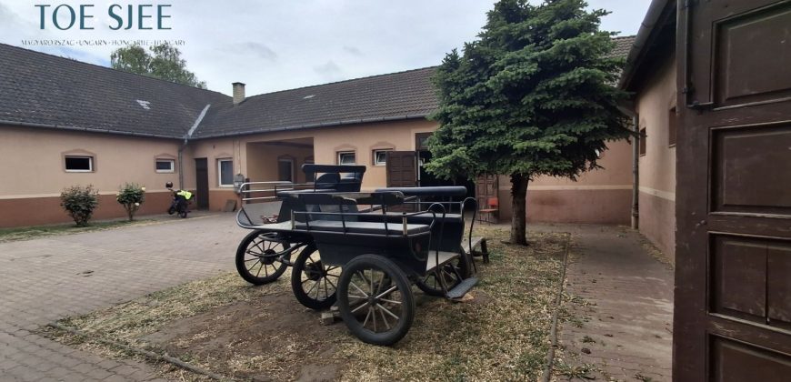 IDN250624 KINCSEM LOVASPARK