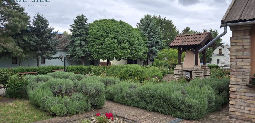 IDN250624 KINCSEM LOVASPARK