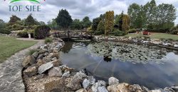 IDN250624 KINCSEM LOVASPARK