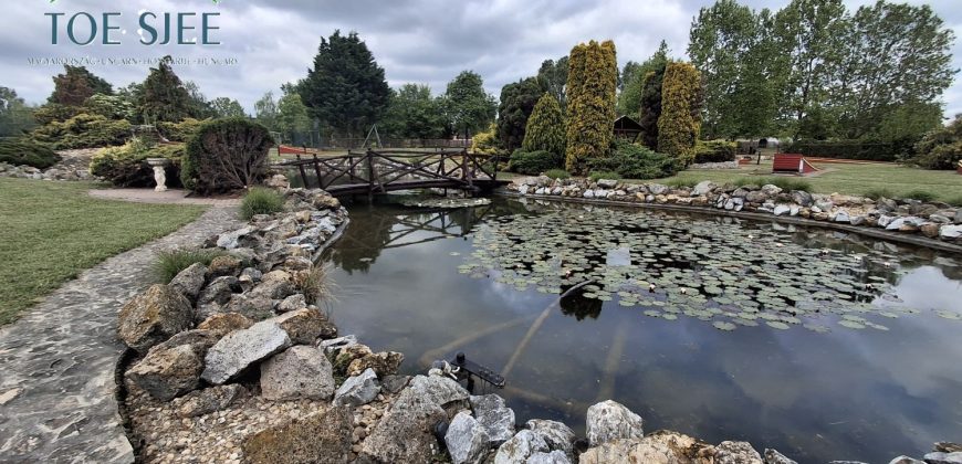 IDN250624 KINCSEM LOVASPARK