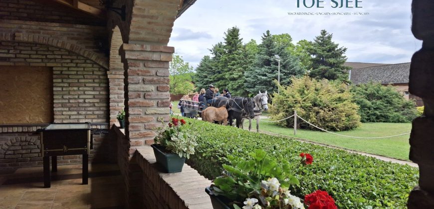 IDN250624 KINCSEM LOVASPARK