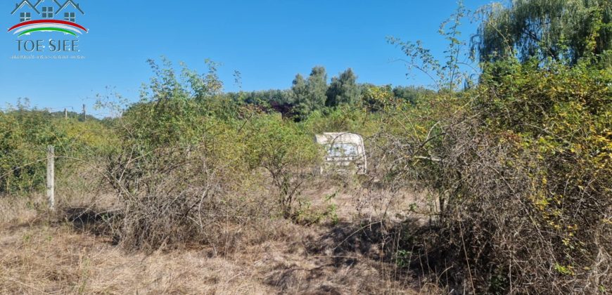 idn250618 Abádszalók üdülőövezeti telek