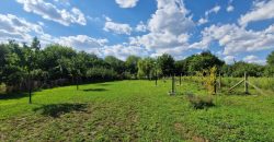 idn250812 Tiszafüredi Családi ház