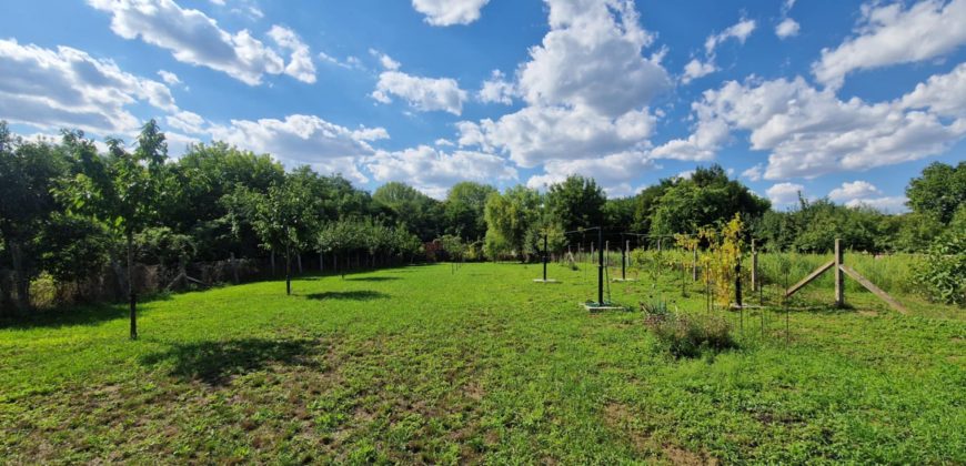 idn250812 Tiszafüredi Családi ház