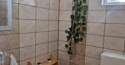 Abádszalókon ház eladó (idn250902)