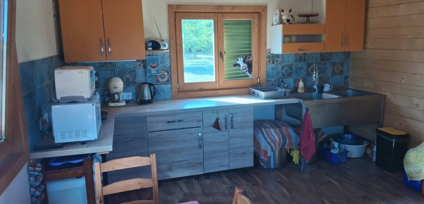 Eladó birtok Szolnok külterületén (idn250906)