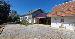 Abádszalókon ház eladó (idn250902)