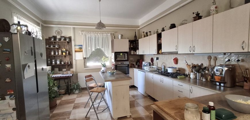 Eladó birtok Szolnok külterületén (idn250906)