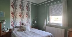 Eladó birtok Szolnok külterületén (idn250906)