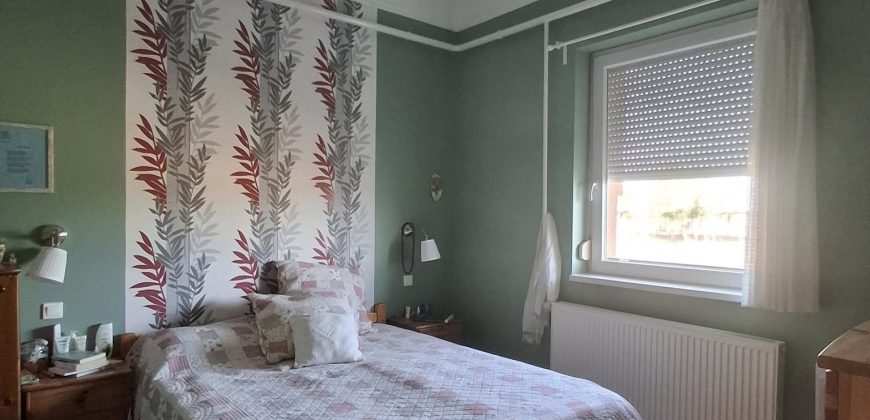 Eladó birtok Szolnok külterületén (idn250906)