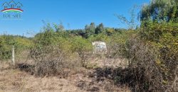 IDN250618 Eladó telek Abádszalók üdülőövezeti részén!