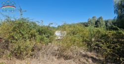 IDN250618 Eladó telek Abádszalók üdülőövezeti részén!