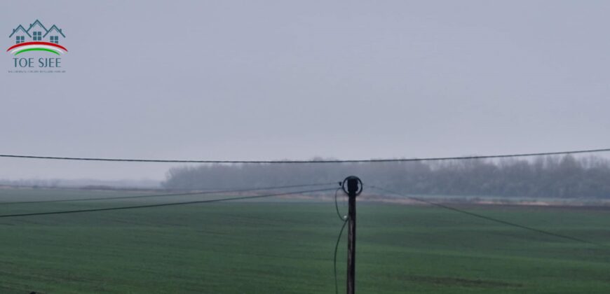 Telek eladó Tiszaderzsen