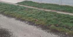 Telek eladó Tiszaderzsen