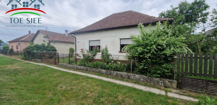 Abádszalók (idn240519)