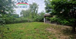 Abádszalók (idn240519)