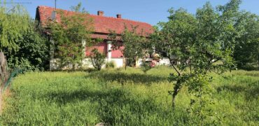 Abádszalók (idn260507)