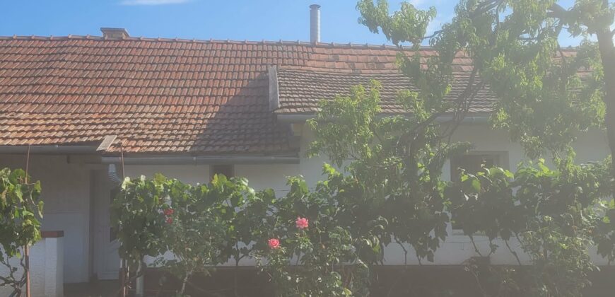 Abádszalók (idn260820)